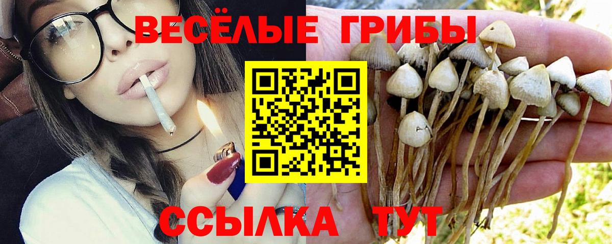 Псилоцибиновые грибы Psilocybe  Псилоцибиновые грибы Psilocybine cubensis  Вход с VPN  Краснознаменск 
