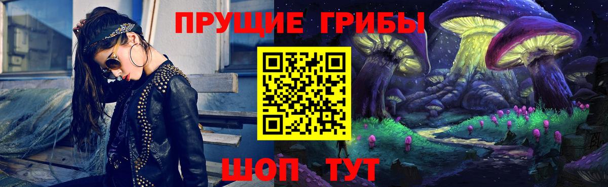 Псилоцибиновые грибы мицелий Краснознаменск